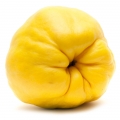 السفرجل