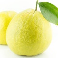 برغموت كالابريا
